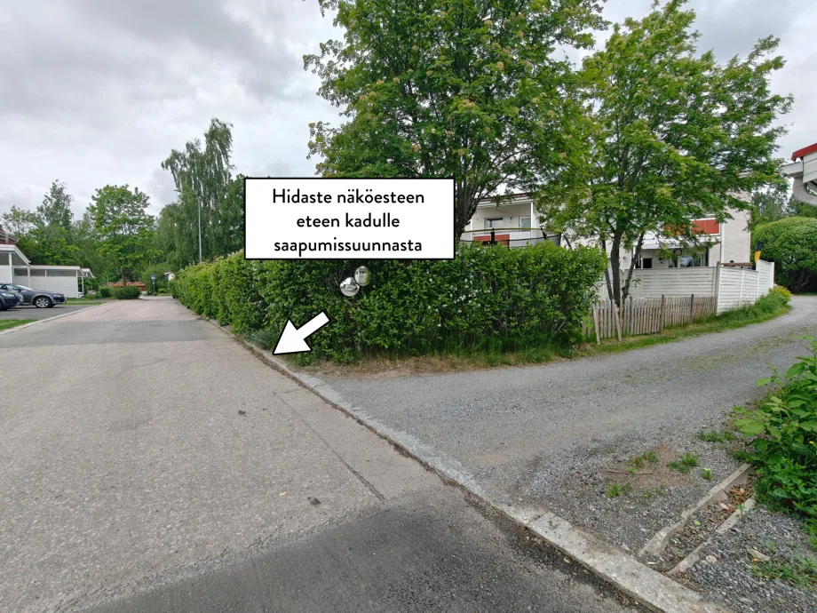 6a22c24ef412f.webp