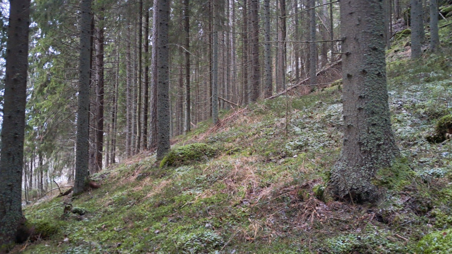 20251222_1447011.jpg