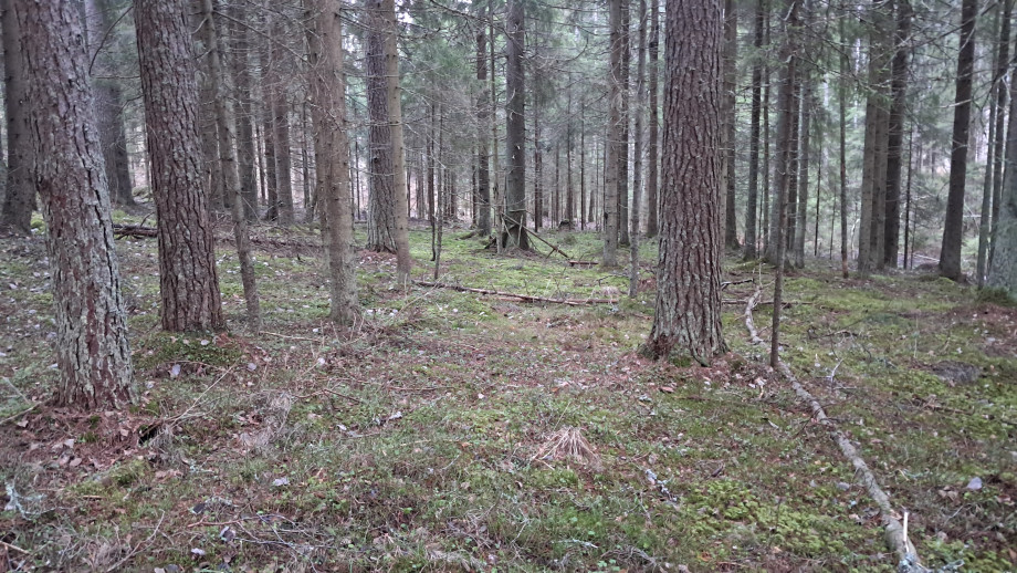 20251226_122544.jpg