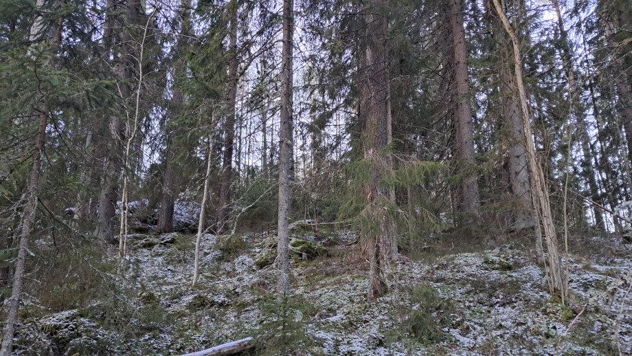 20251228_114321.jpg