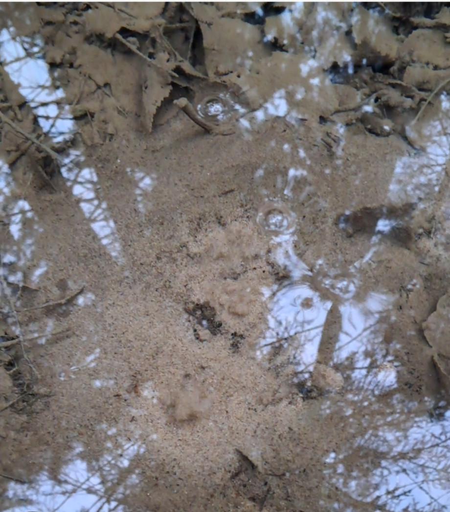 Screenshot_20251223_200412_Gallery1.jpg